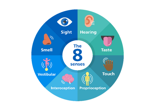 Eight Senses of the Body